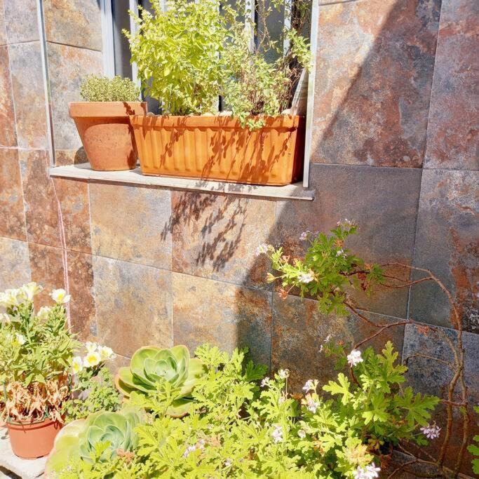 Апартаменты Rias Bajas Apartamento Con Jardin Вильянуэва-де-Ароса Экстерьер фото